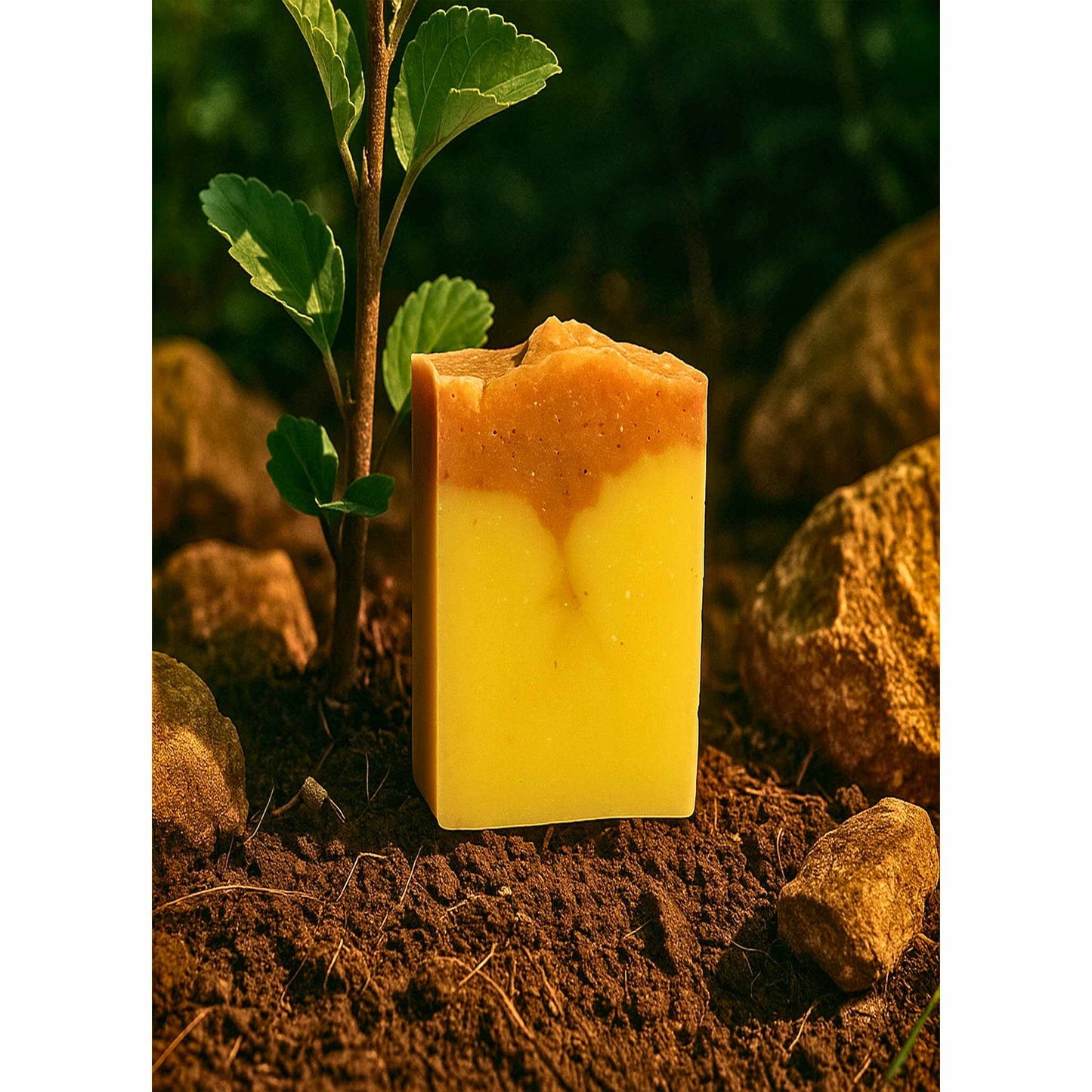Savon l'or d'Ylang bio 100g