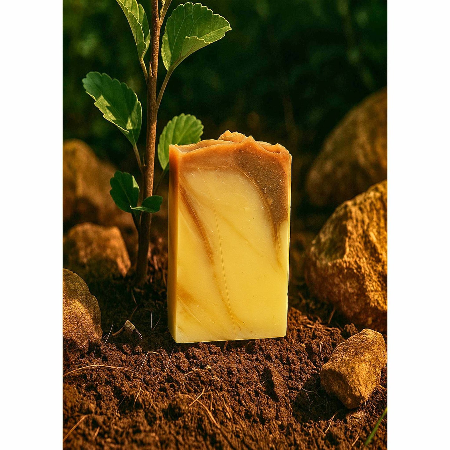 Savon végétal bio 100g
