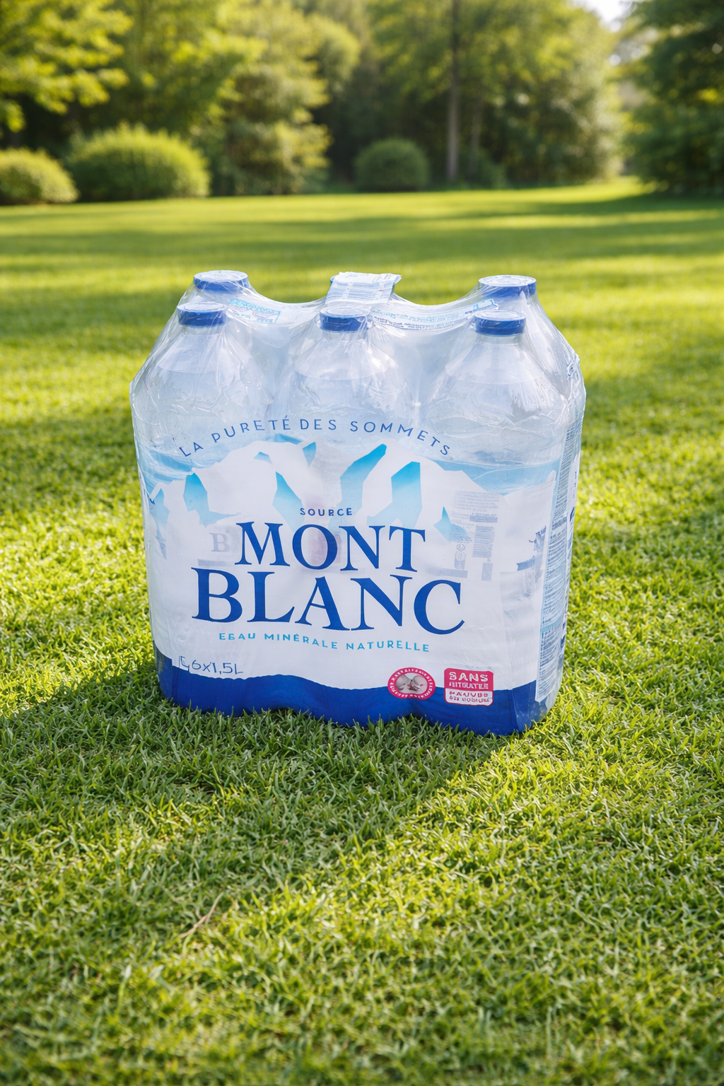 Eau Mont-Blanc