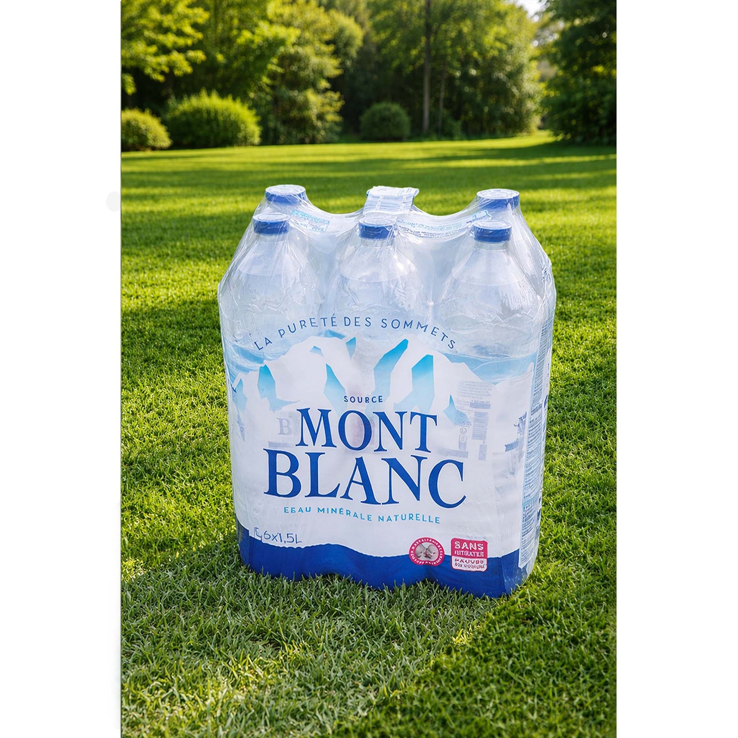 Eau Mont-Blanc