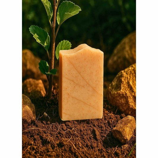 Savon douceur de coco bio 100g