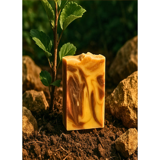Divin neem bio 100g