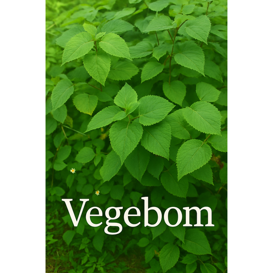 Végébom – L'Essence du Soulagement Naturel